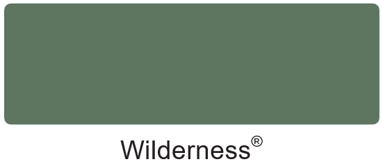 Wilderness